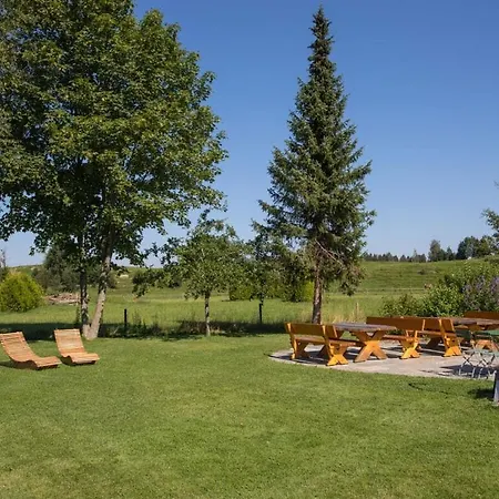 Inviting With Sauna Hotel